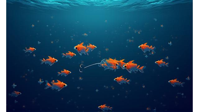 漁業効率化Webセミナーサムネイル